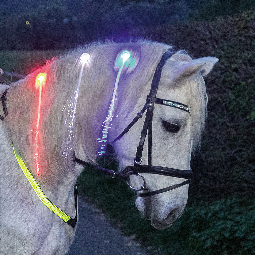 LED-Haar Clips für die Mähne